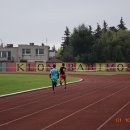 biegip 8